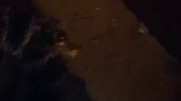 Extorsionadores detonan dinamita en inmueble