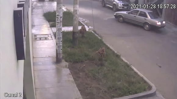 Roban camioneta de la municipalidad de Poroto | Correo