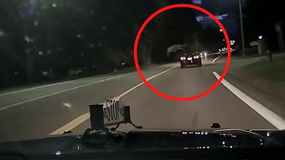 Patrulla de Michigan graba el momento en que un ciervo salta por encima de un auto