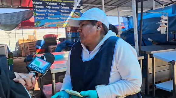 Oleaje reduce en 40 % el ingreso de productos marinos en Arequipa