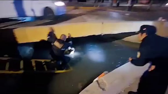 Trujillo: Rescatan a perro que cayó a una acequia