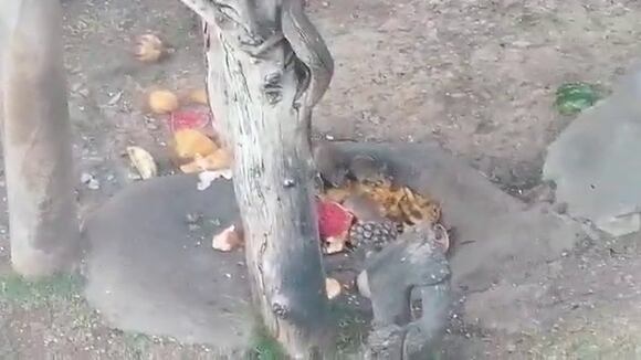 Whatsapp Video 2021-09-20 At 11.48.51 Am