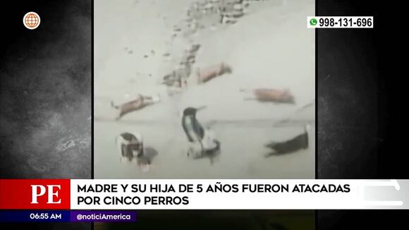 Perros atacan a madre de familia y su hija