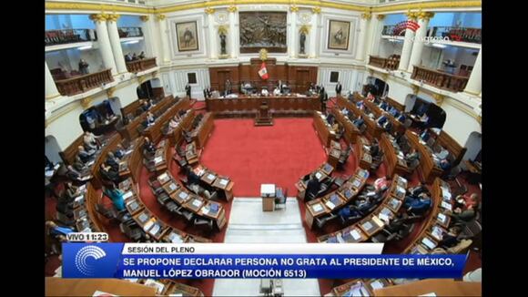 Intervención de Patricia Chirinos en Pleno del Congreso