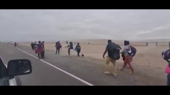 CORREO | Tacna: Intervienen a 80 extranjeros con niños y mascotas