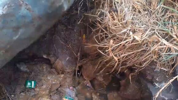 CORREO | Puno: Escolares de centro educativo consumían agua contaminada de un pozo tubular