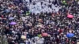 Así comienza el último recorrido del Señor de los Milagros por el Centro de Lima (VIDEO)