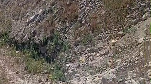 Chofer resulta herido tras caer con su vehículo a un barranco en Arequipa