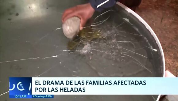 El drama de las familias afectadas por las heladas