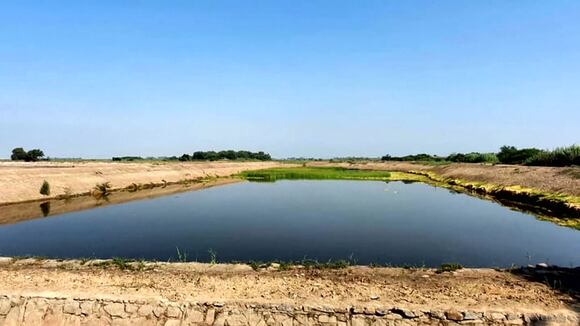 Lambayeque: limpian laguna después de 21 años (Video: OTASS)