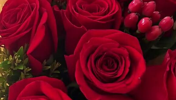 CORREO | Gato Cuba y Ale Venturo