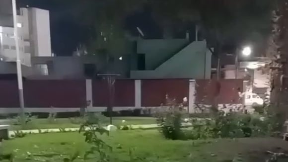 Denuncian invasión de ratas en parque Sevilla de Cayma y cuestionan la inacción de la Municipalidad