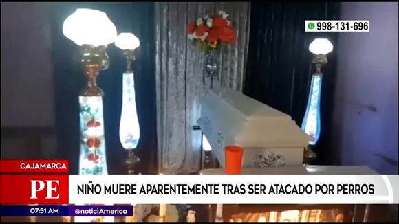 Niño muere aparentemente tras ser atacado por perros
