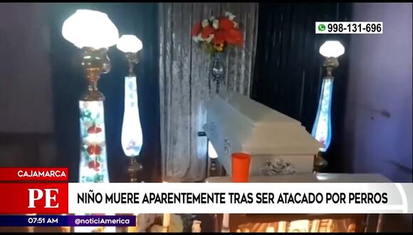 Niño muere aparentemente tras ser atacado por perros