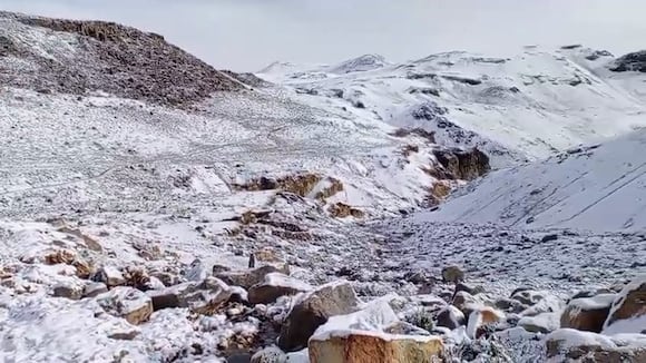 WhatsApp Video 2026-02-09 At 11.32.14 AM