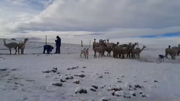 CORREO | Lluvias y nevadas más fuertes en Arequipa