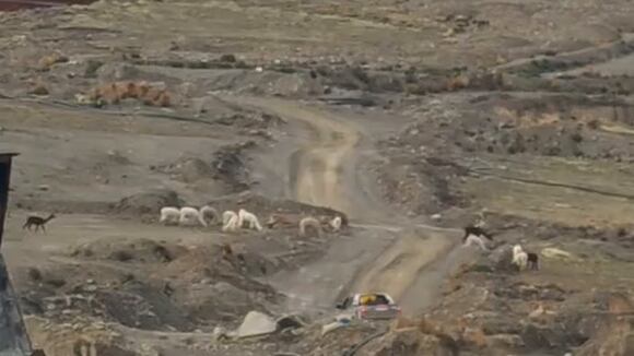 CORREO | Un muerto y varios heridos por violento enfrentamiento en mina La Rinconada