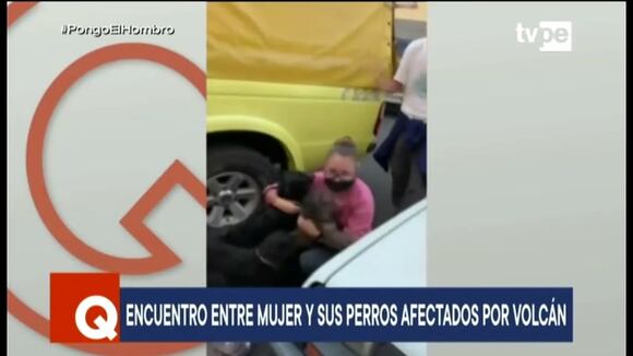 Encuentro entre mujer y sus perros afectados por volcán