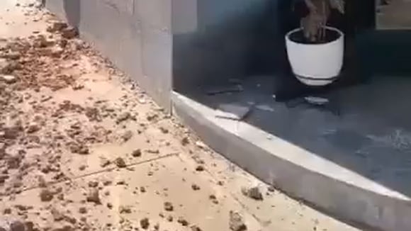 Pared se desplomó tras el fuerte sismo en Ica