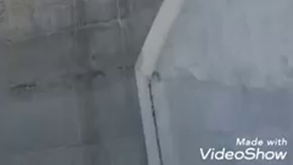 Rescatan a perrito que quedó atrapado en puente