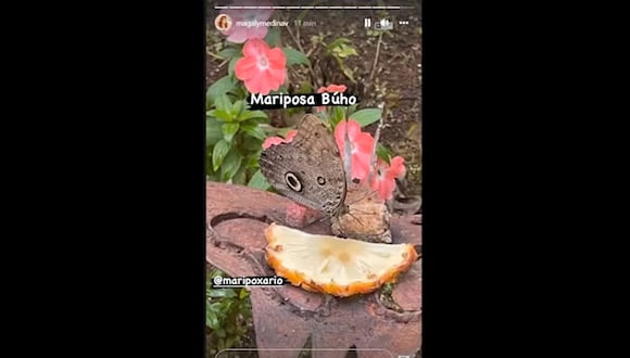 Magaly inaugura mariposario en Oxapampa