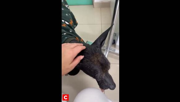 CORREO | Janet Barboza