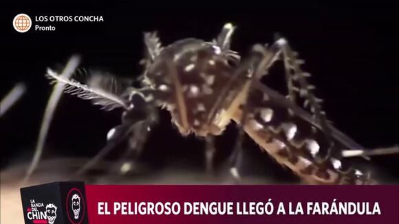 Ricky Trevitazo, exintegrante de Skándalo, fue internado de emergencia por dengue: “No puede ni caminar”