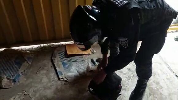 UDEX cumple 40 años