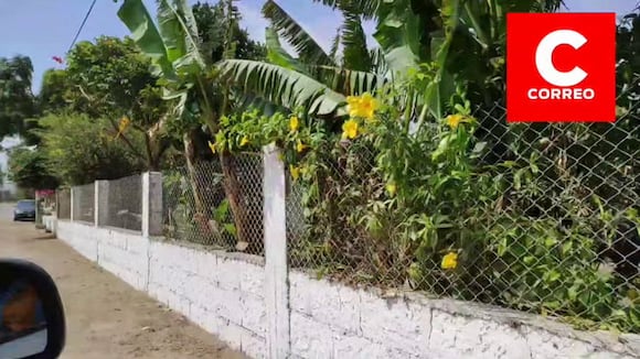 Petroglifos de Toro Muerto