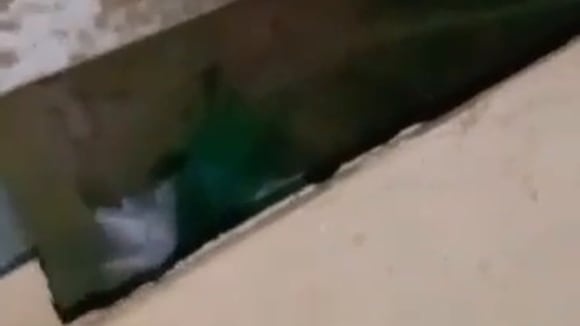 "La Caleta de Los Pulpos" en Trujillo