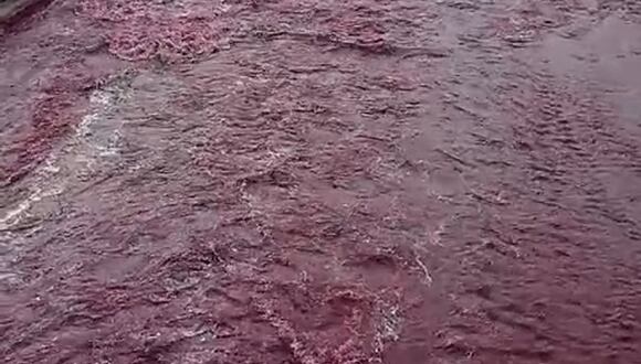 CORREO | Usuarios reportan color rojo en el río Rímac y Sedapal descarta riesgo en el agua potable