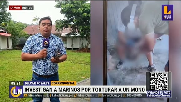 Investigan a marinos por torturar a un mono