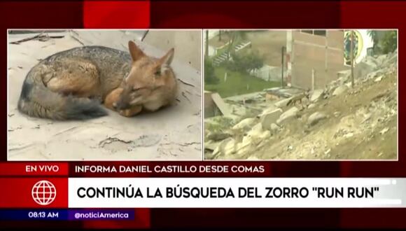 C04-runrun Encontrado