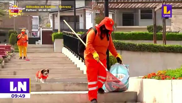 Mascota se vuelve viral