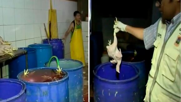 Los Olivos: intervienen local clandestino que distribuía pollos en mal estado a mercados de Lima Norte
