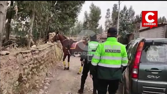Policía Cae De Caballo Durante Patrullaje Y Queda Incosciente Durante Unos Minutos