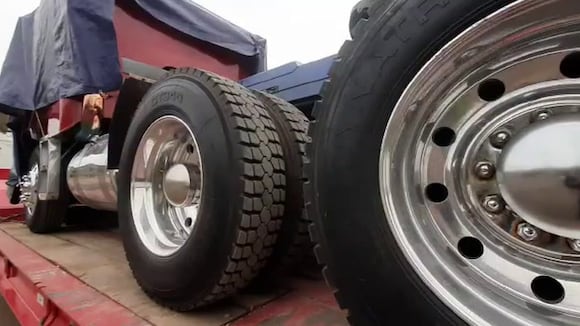 Whatsapp Video 2021-11-16 At 3.30.47 Pm (1)