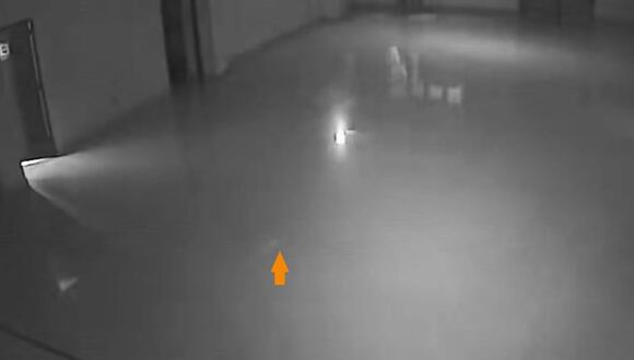 CORREO | cámaras de seguridad Pueblo Libre