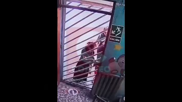 Pareja de ladrones usaron a una menor de edad en Arequipa para robar en colegios