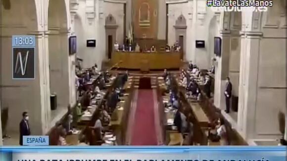 Rata interrumpe debate en Parlamento de Andalucía (Canal N)