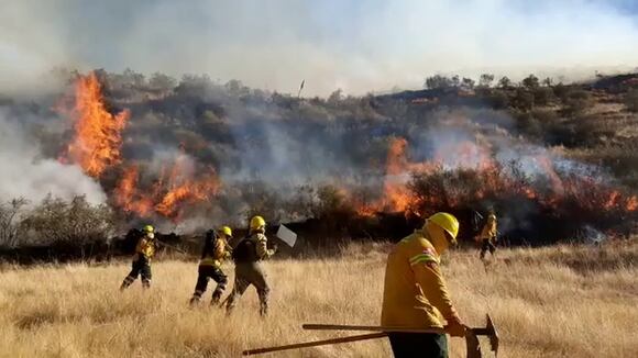 Incendio Forestal Cusco. Vídeo: J. Sequeiros.