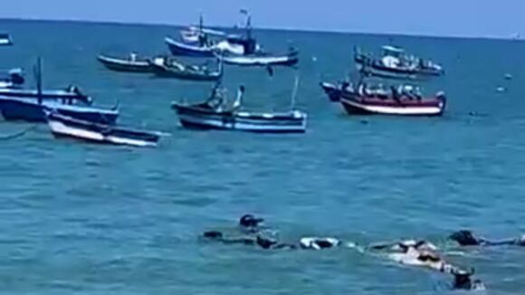 Vacas sorprende a bañistas en Tumbes