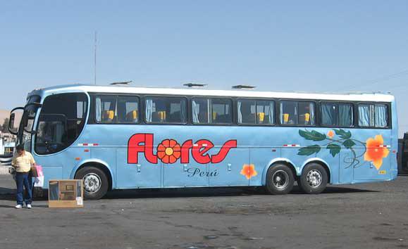 Bus de empresa Flores choca con mototaxi y mata a niño