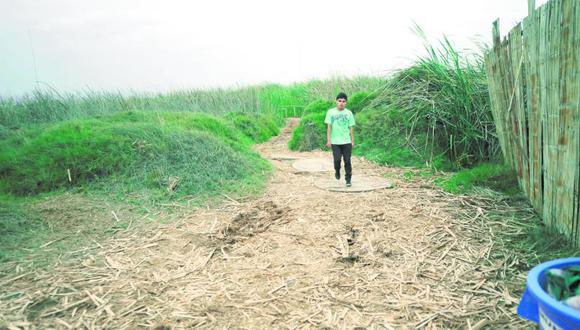 7 hectáreas afectadas en Pantanos de Villa