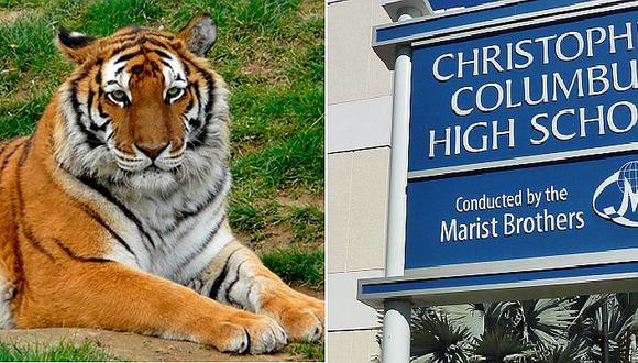 Alumnos llevan tigre a fiesta de promoción y se vuelve viral