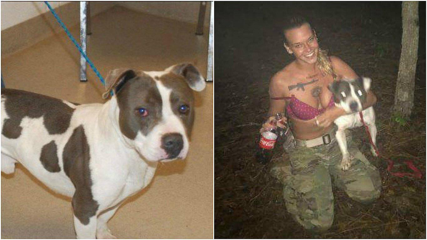 EEUU: ¡Indignante! ex marine ató a su perro a un árbol y le disparó (VIDEO)