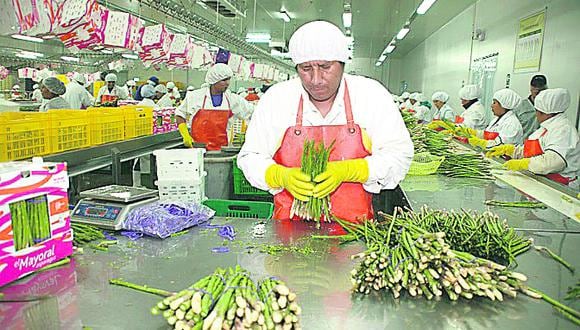 Economía peruana: Las exportaciones caen en 18 regiones del país