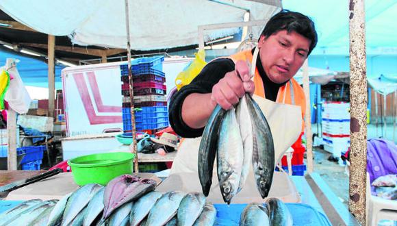 Lluvia de pescado: desde hoy jurel se vende desde S/.2.50 soles