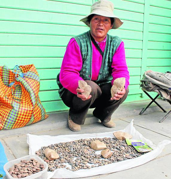 Las semillas curativas de la selva con gran aceptación 
