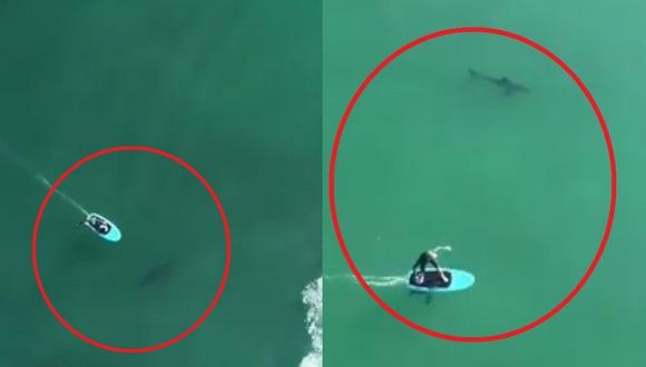 Dron captó a bañistas que surfeaban sin imaginar que estaban encima de tiburones (VIDEO)